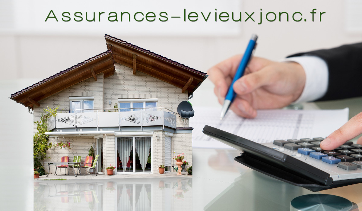 assurances-levieuxjonc.1000vies.fr